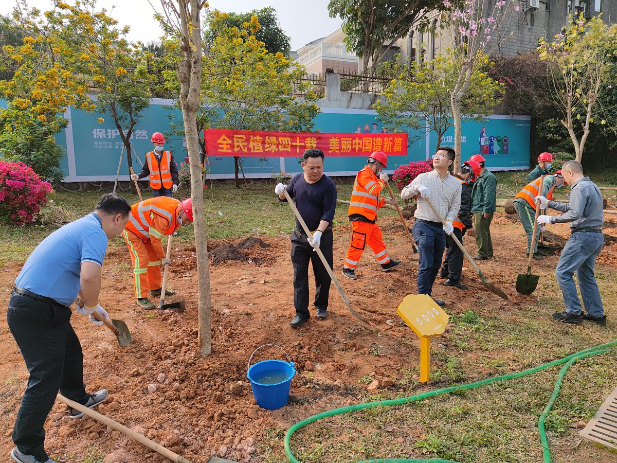 园林绿化人员服务大局意识不强的个人整改措施