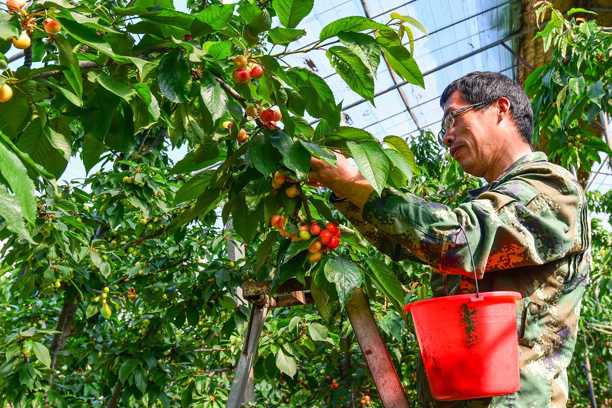 潍坊服务技工学校地址 - 潍坊市奎文区东风东路