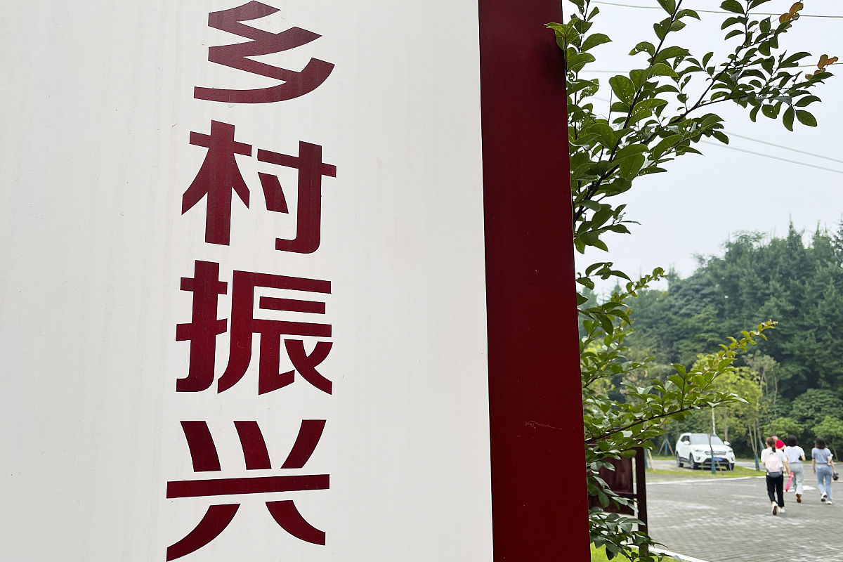 四合乡红旅产业与乡村振兴融合现状产业振兴