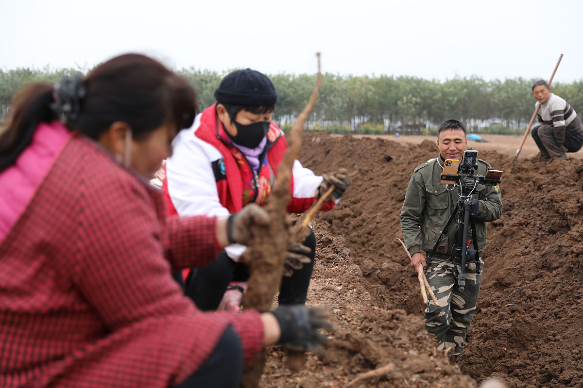 农产品直播电商消费者行为研究:基于铁棍山药的混合型研究 农产品直播电商消费者行为研究:基于铁棍山药的混合型研究
