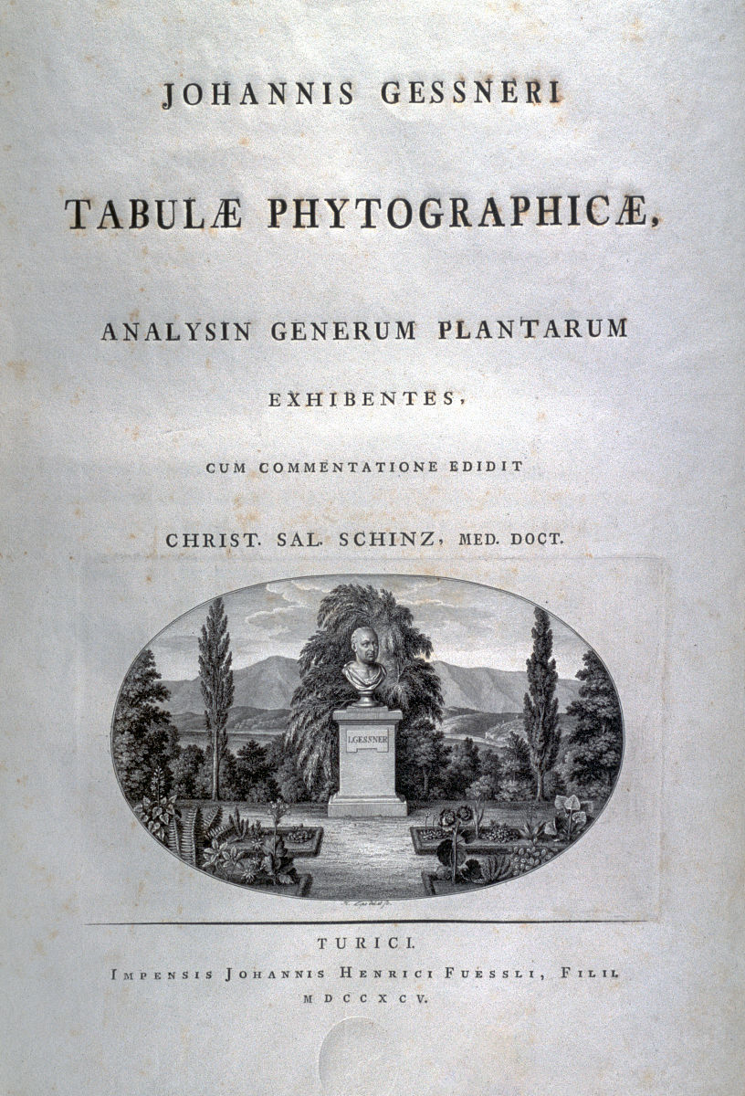 The Great Gatsby: Chapters 1-7 Summary & Analysis - Wealth, Love, & the American Dream