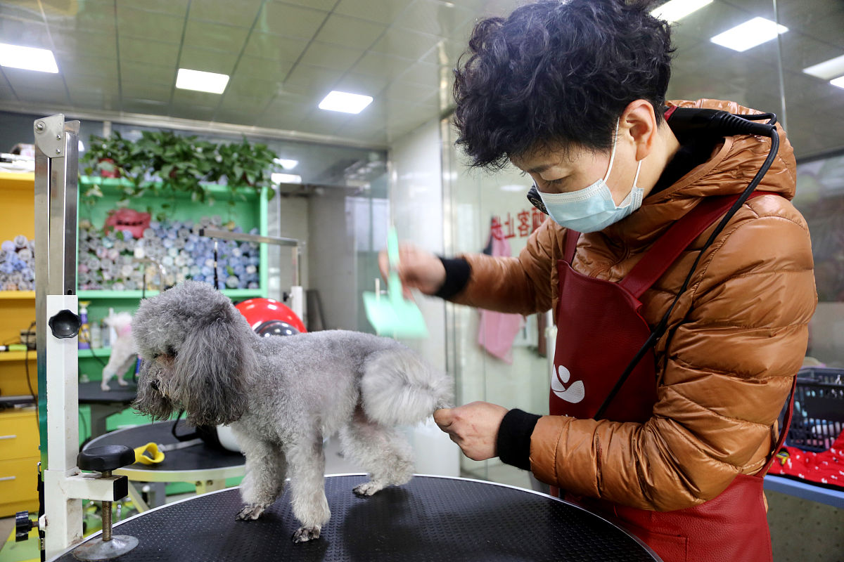 湖州市现代农业技术学校宠物养护与驯导就业前景好不好