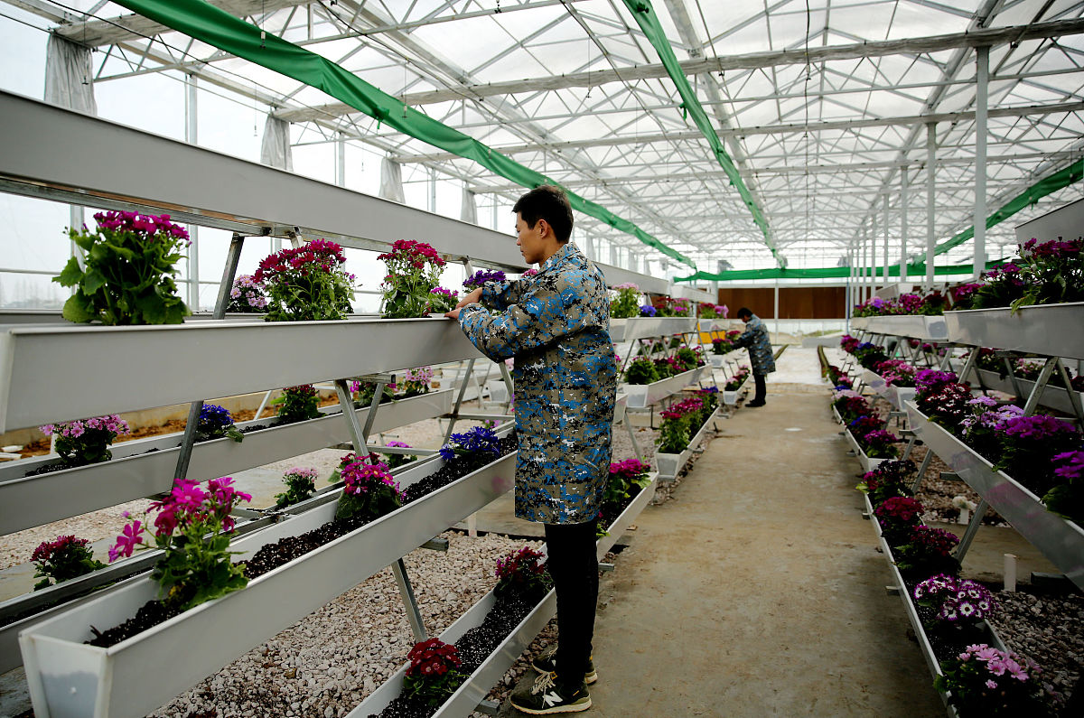 重庆园林技工学校果蔬花卉与生产专业：就业前景与课程内容