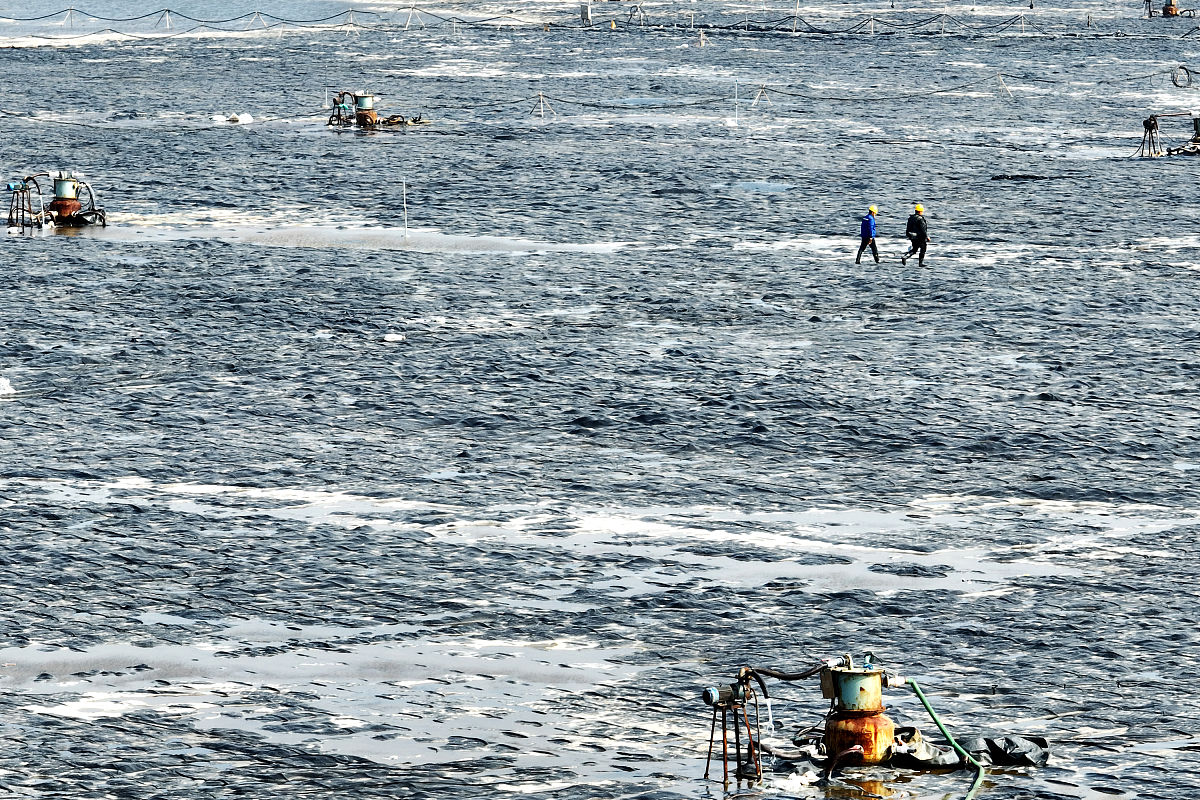 防止禁养区海水养殖死灰复燃：建立定期巡查与监测机制
