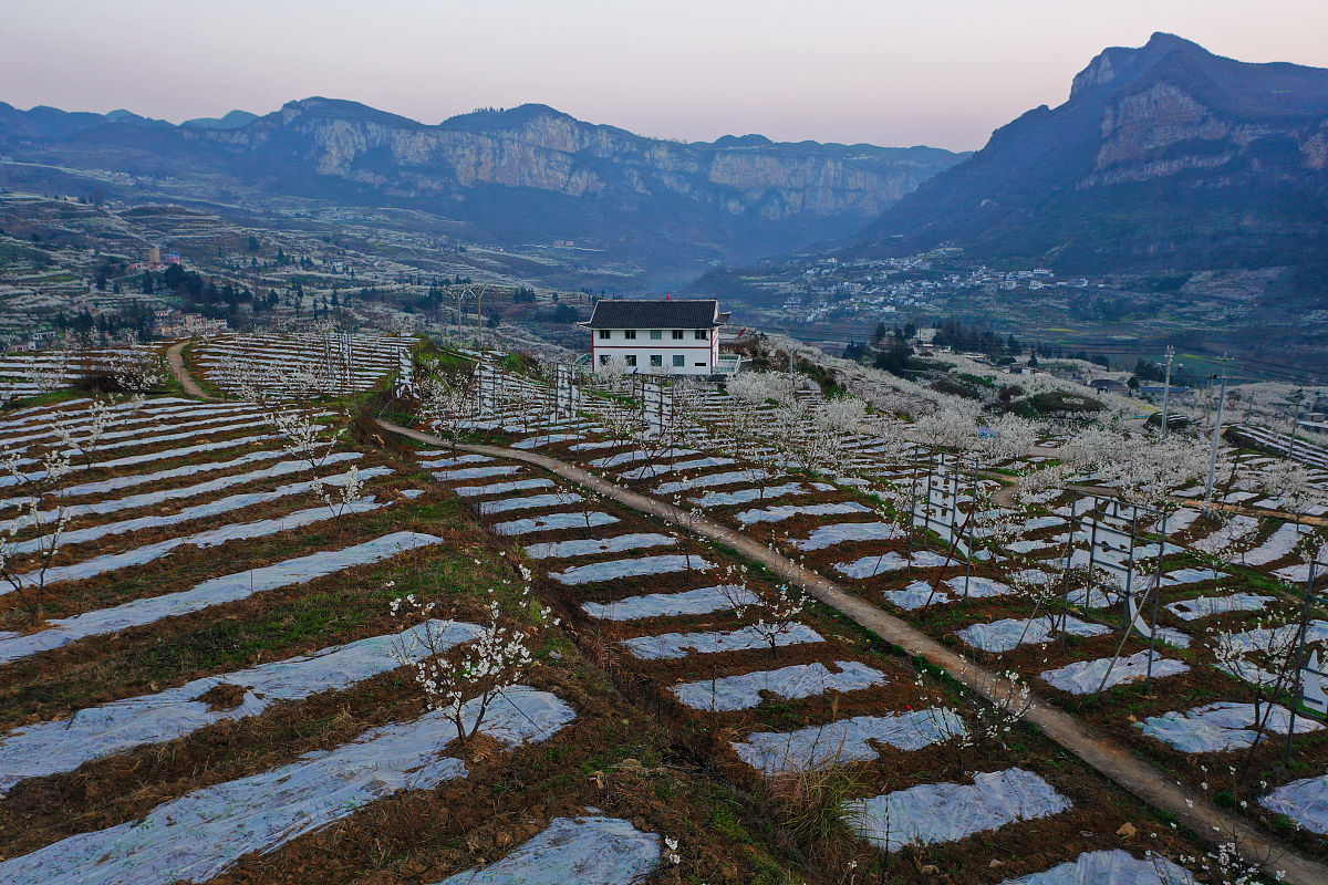 贵阳卫生学校2022年招生信息简介