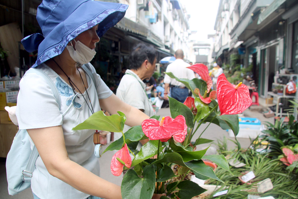 苏州市姑苏区南门什么时规划拆迁了回答加拓展。