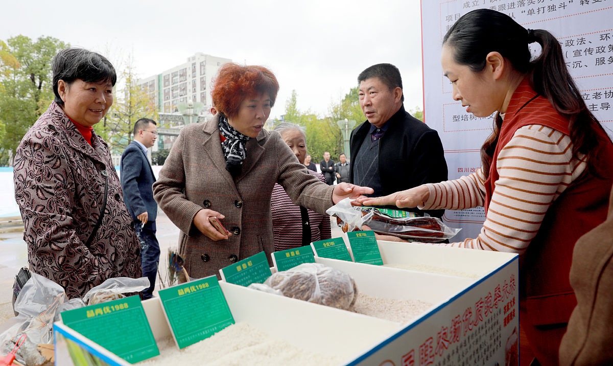 论述基于社会工作滁州市农村低收入家庭社区支持存在社区支持缺乏有效的政策和就业资源扶持的问题写成一段话格式不少于500字。