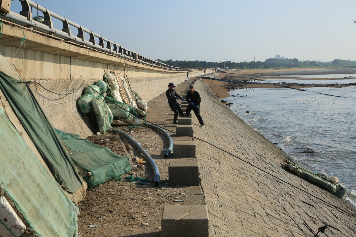 红树林与阶梯型堤防组合消浪效果研究：探索最佳尺寸与配置方案