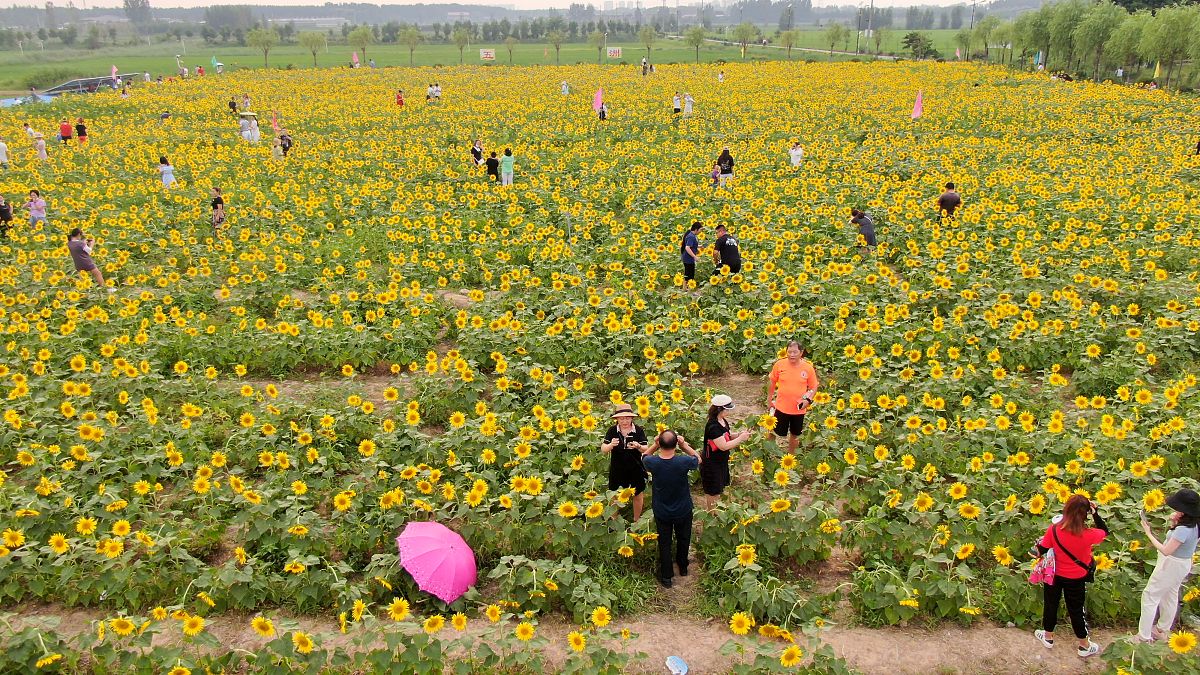 红河州农业学校规模介绍：办学理念和教学质量
