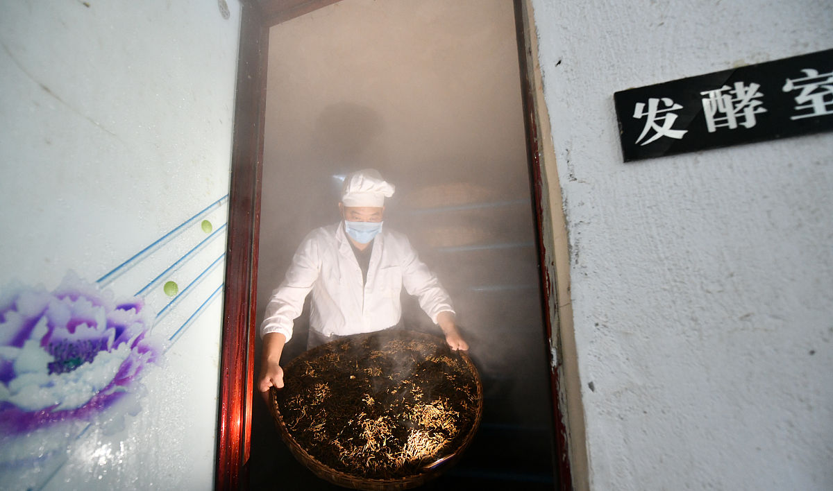 贵州职业学校热门专业就业前景：电子商务、护理等专业前景广阔