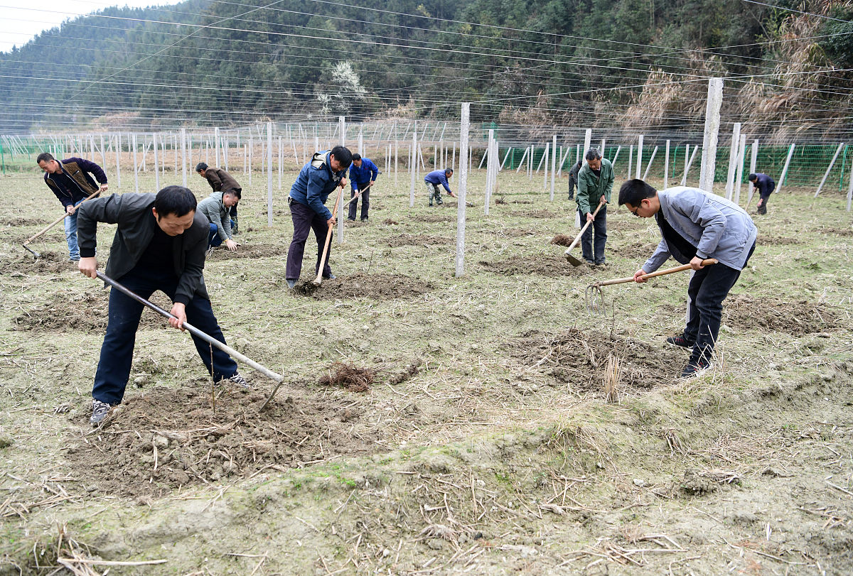 2020年重庆读铁路学校学什么好