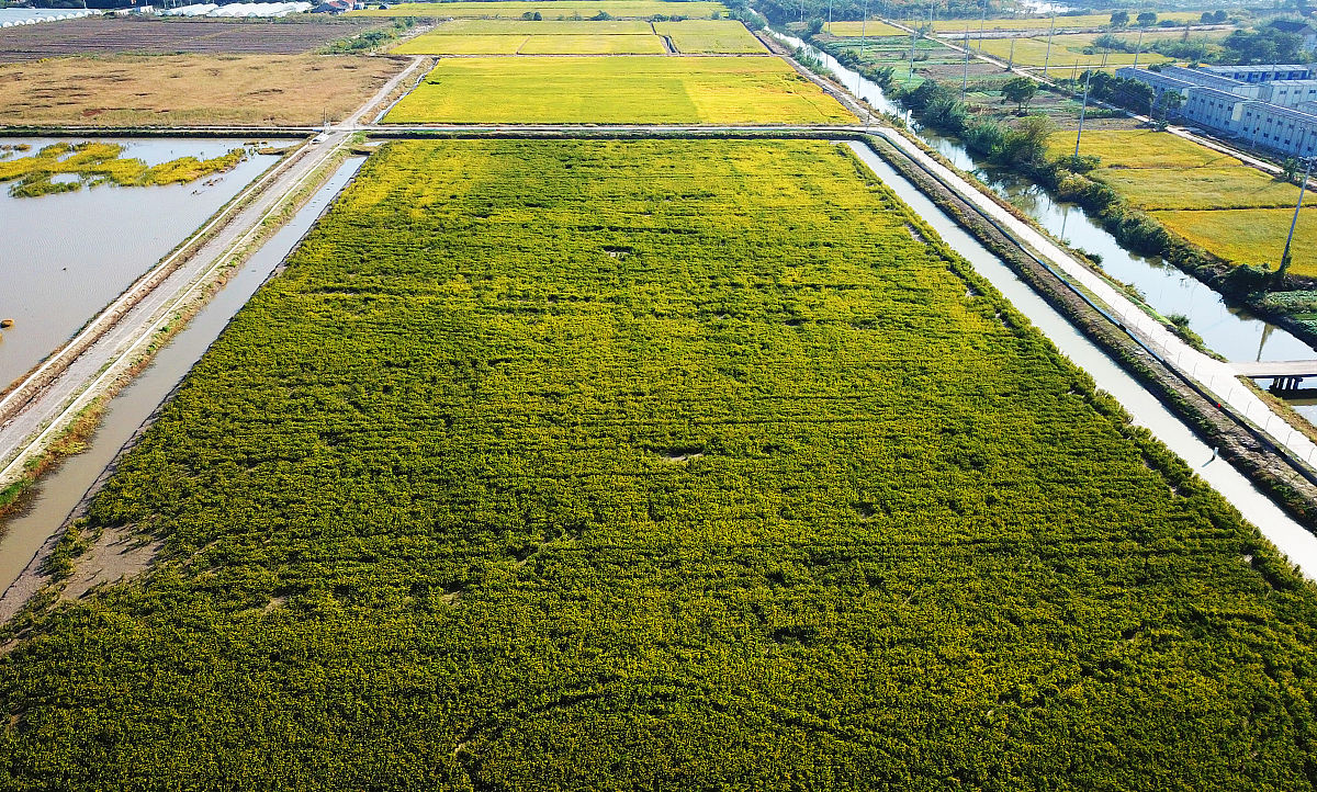 水产绿色养殖技术培训开班动员会上领导的讲话