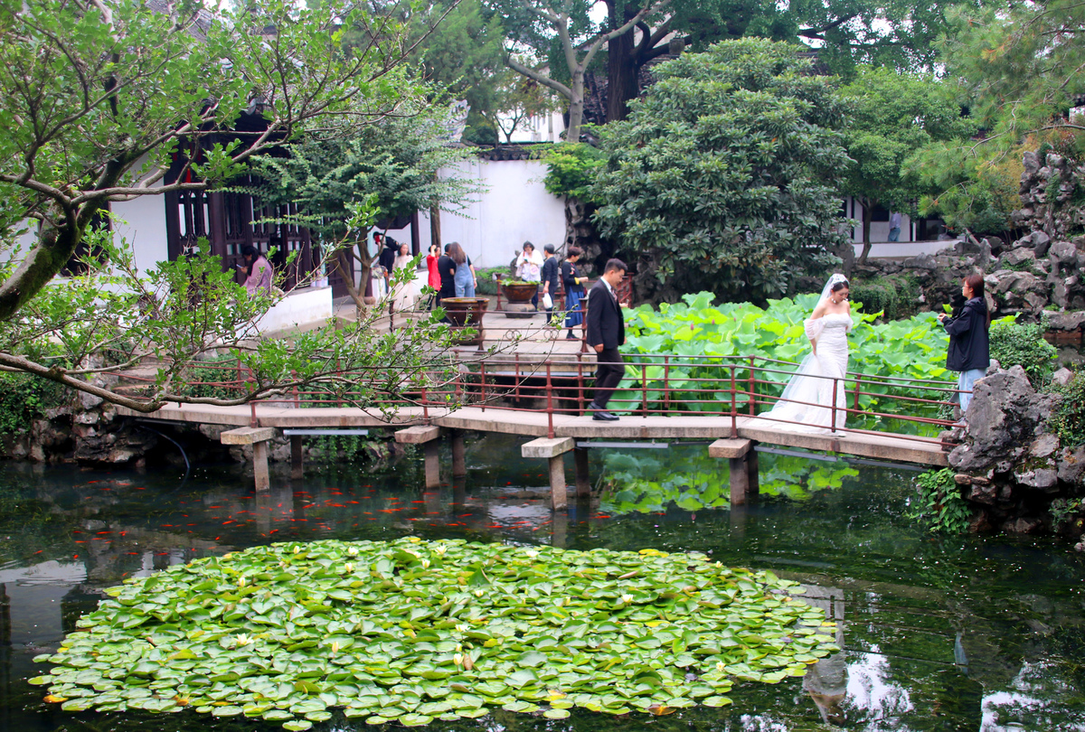请帮我生成一篇900字的园林专业的学生在苏州留园实习一天的园林景观实习报告