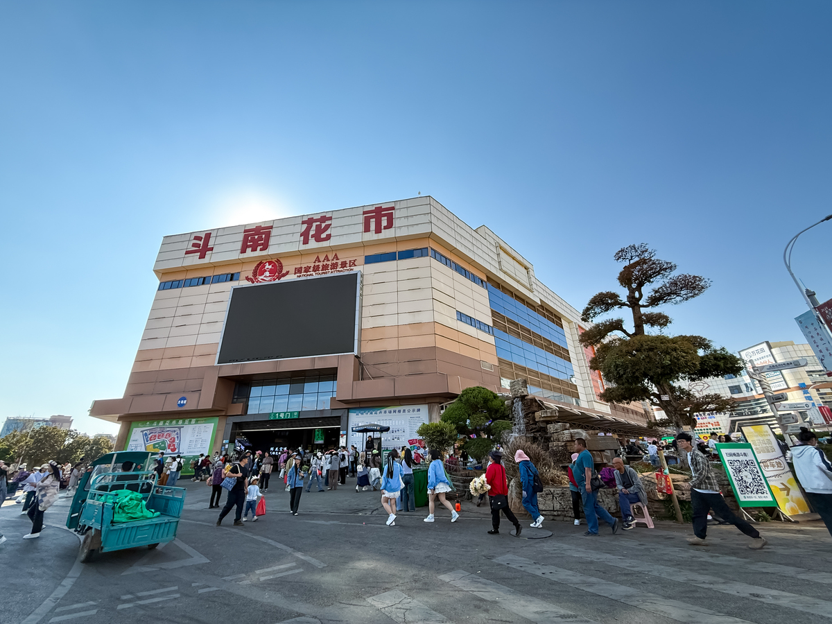 2026年3月25日,云南昆明,斗南花卉小镇市场户外区域,,