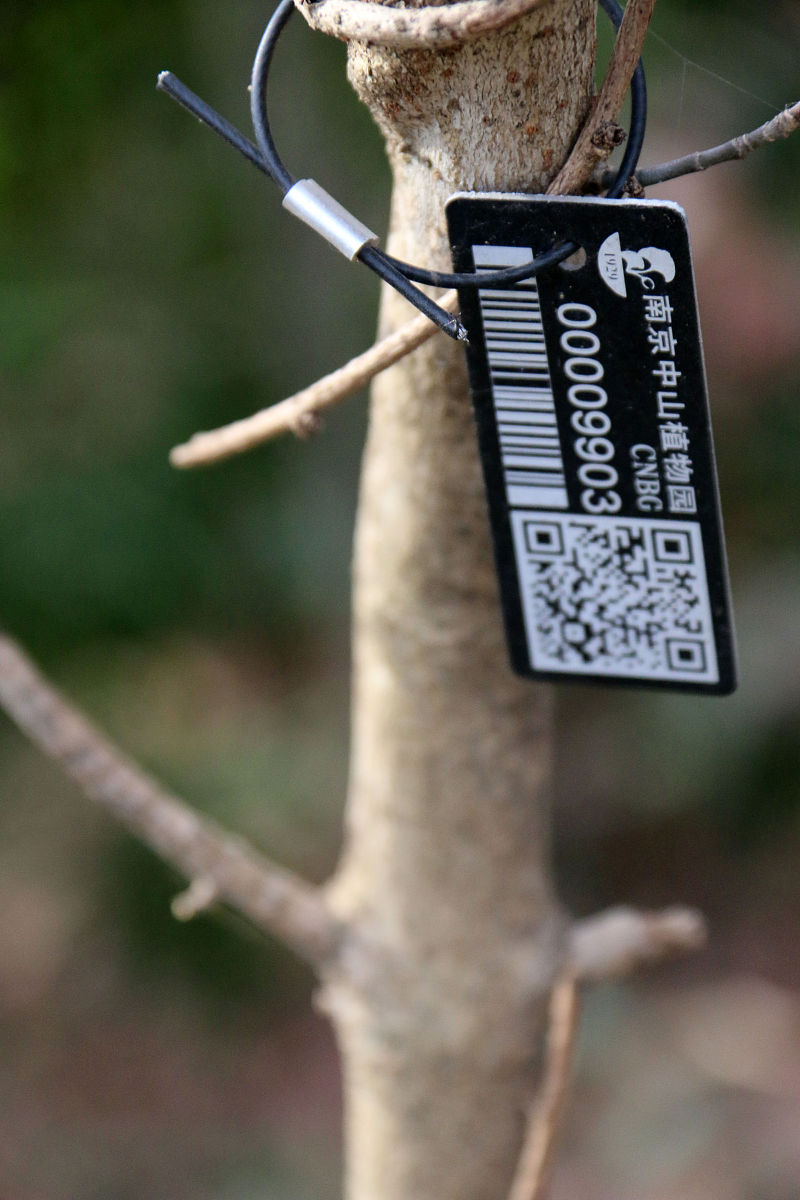 可以详细一点吗