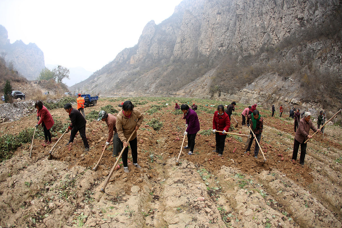 题目为劳动的意义的800字论文