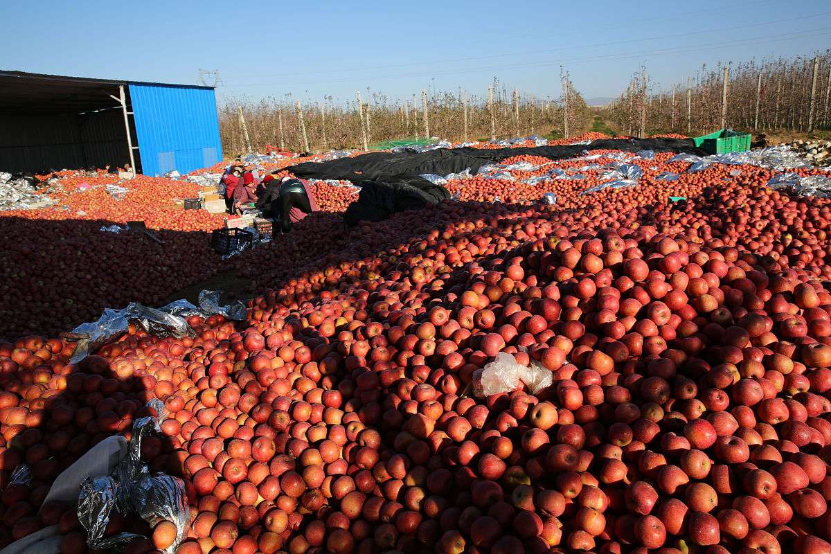 陕西有色金属技工学校2021年招生简章