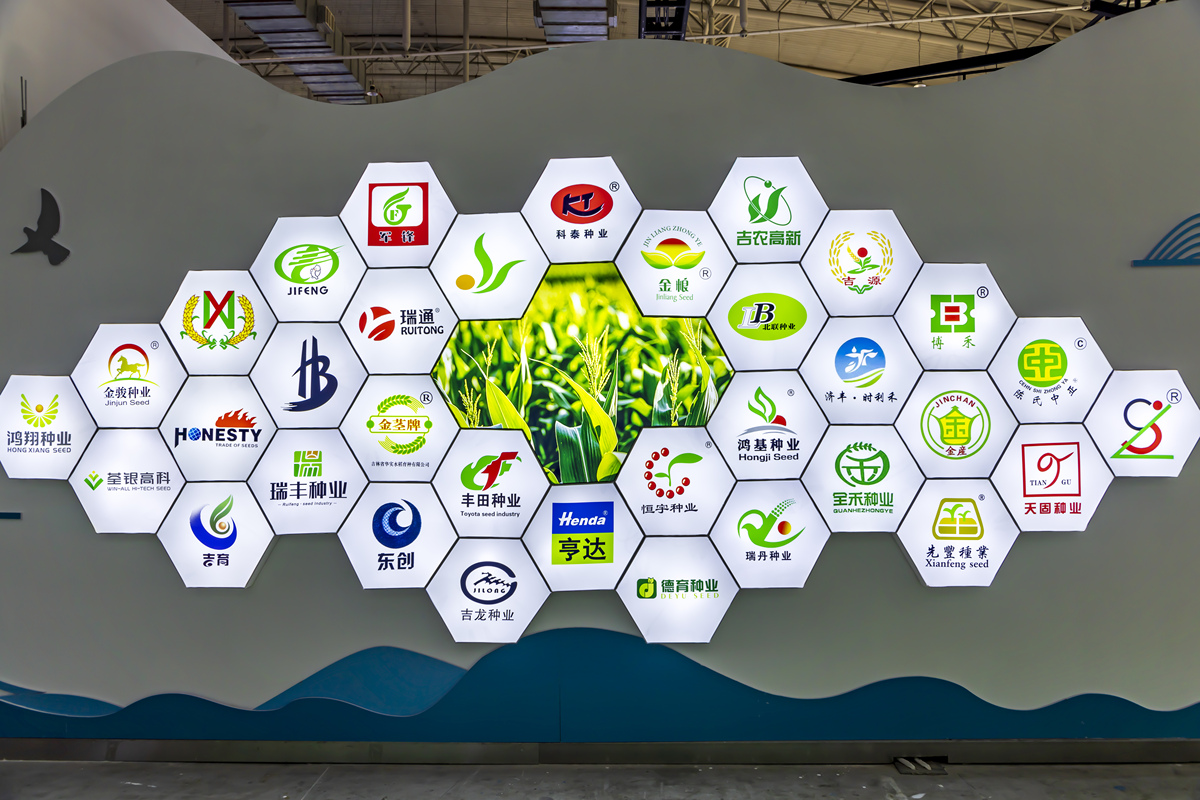 科技创新公司文化：开放、高效、如何打造？