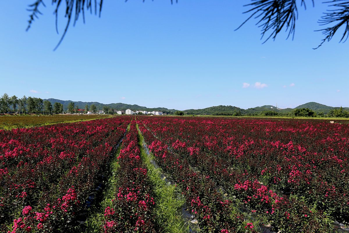 金溪中等职业学校2021年招生专业有哪些