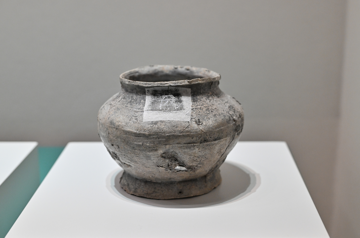 青瓷和黑瓷哪个更早？历史告诉你答案