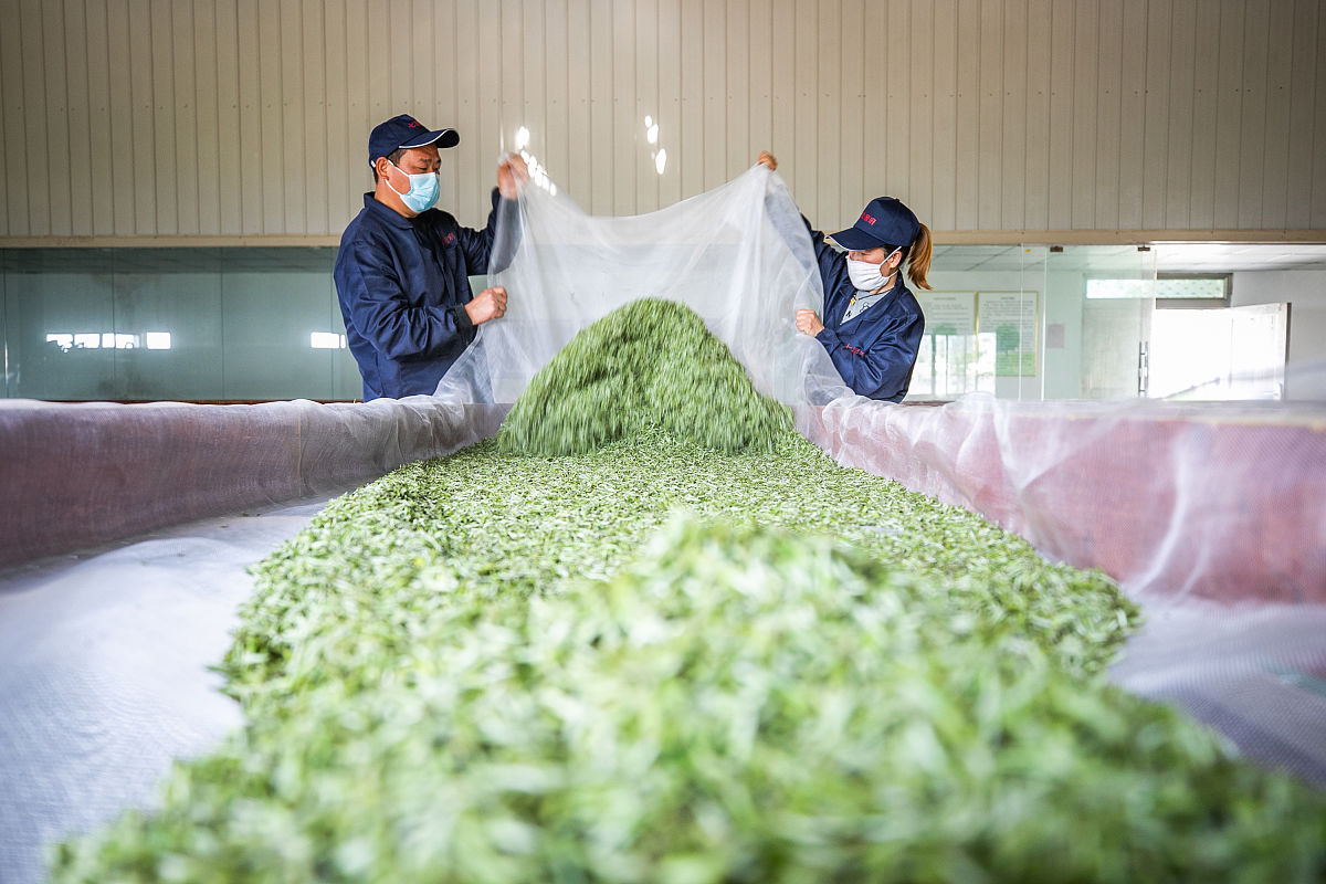 毕节卫生学校地址及乘车路线 - 贵州省毕节市
