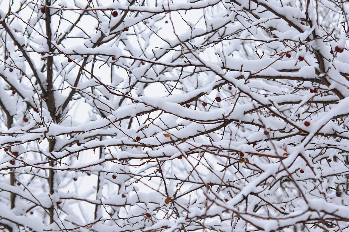邢台经贸中专学校2021年招生条件 - 报名要求详解
