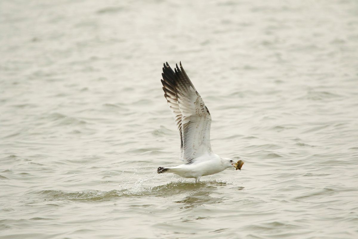 太湖职业技术学校2022年招生简章