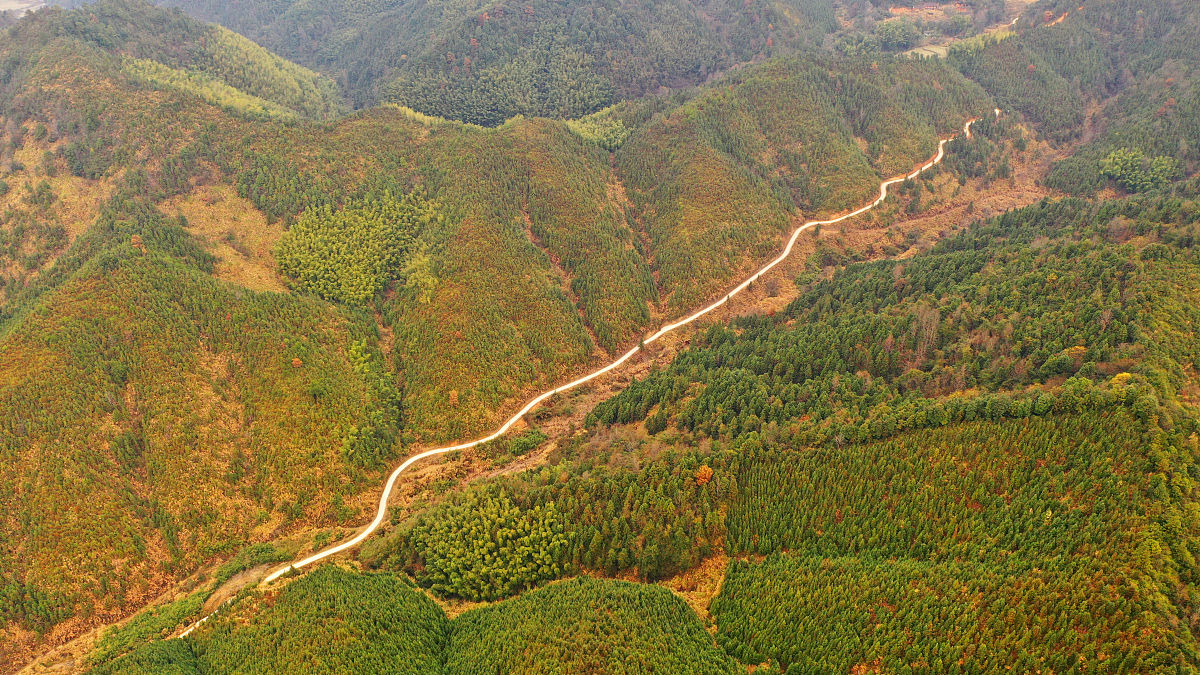 吉安市生育保险报销条件详解 - 2023最新指南