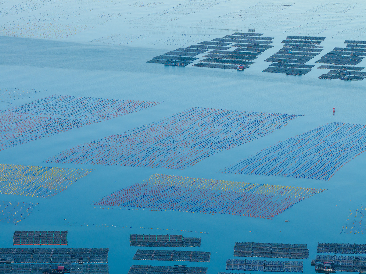 海水生态养殖专业就业前景及方向｜发展趋势解读