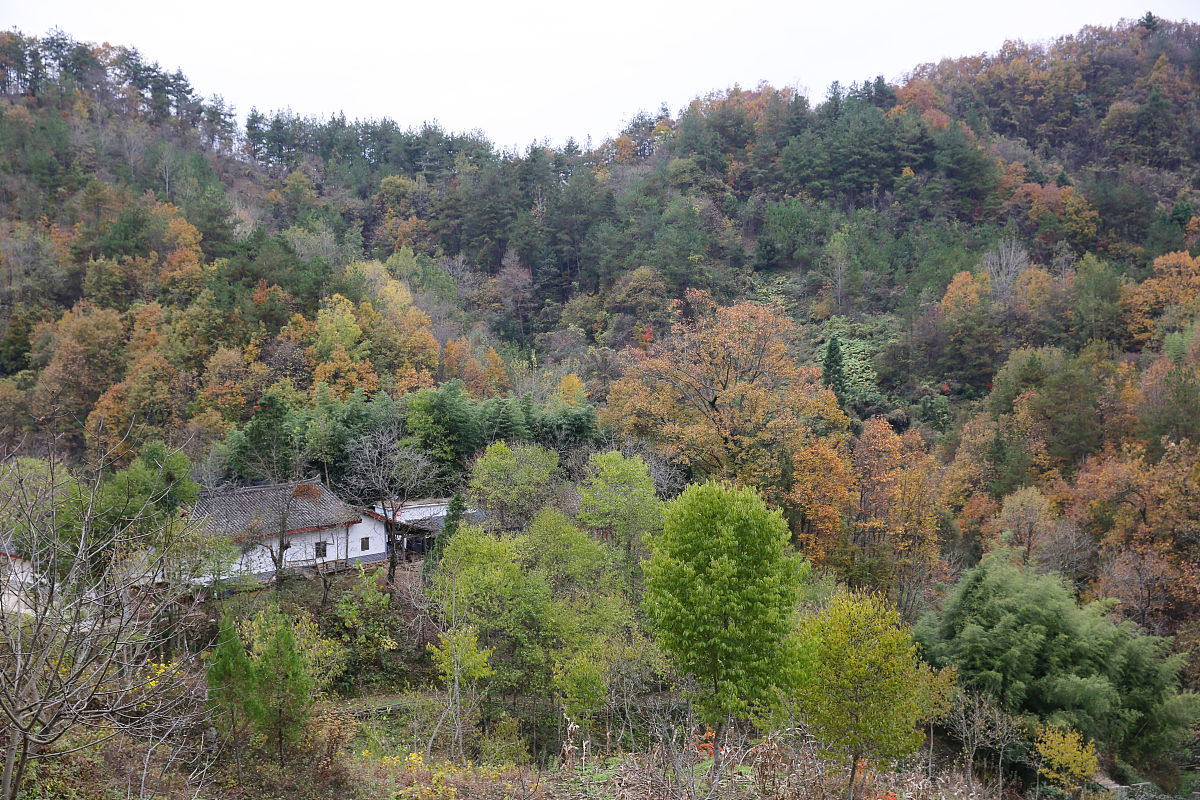 2020年11月4日,陕西安康宁陕县梅子镇南昌村,地处秦岭深山,村民居住分