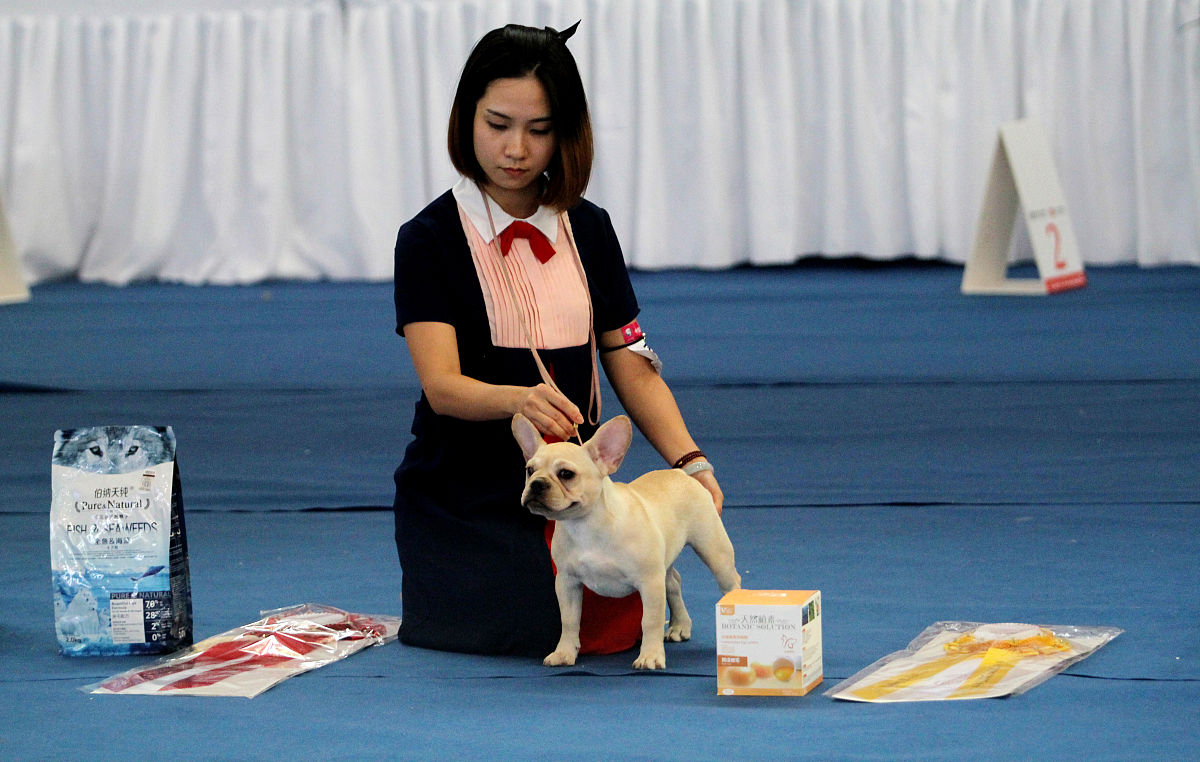 黑龙江民族职业学院宠物养护与疫病防治专业怎么样？就业前景如何？