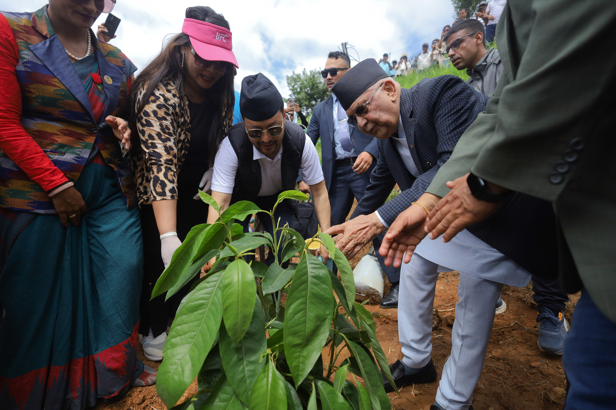 海地农民为何不愿种植？美国国际发展署援助背后的困境