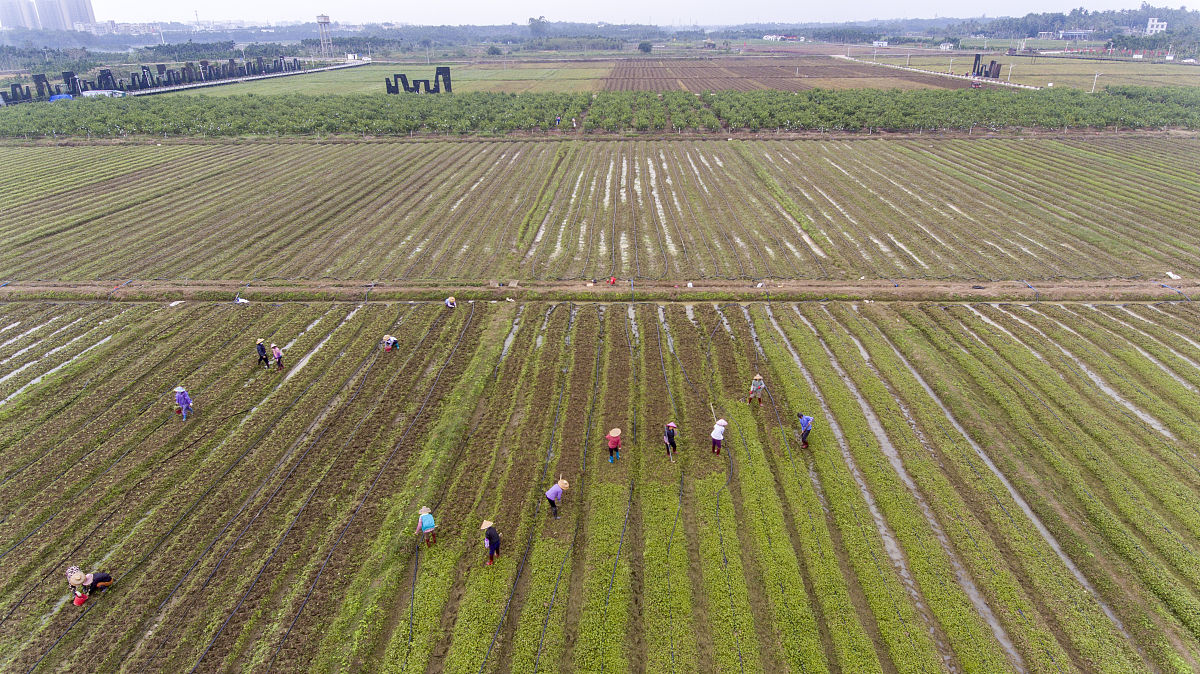 有关于国外农民财产性收入现状和影响因素的作品