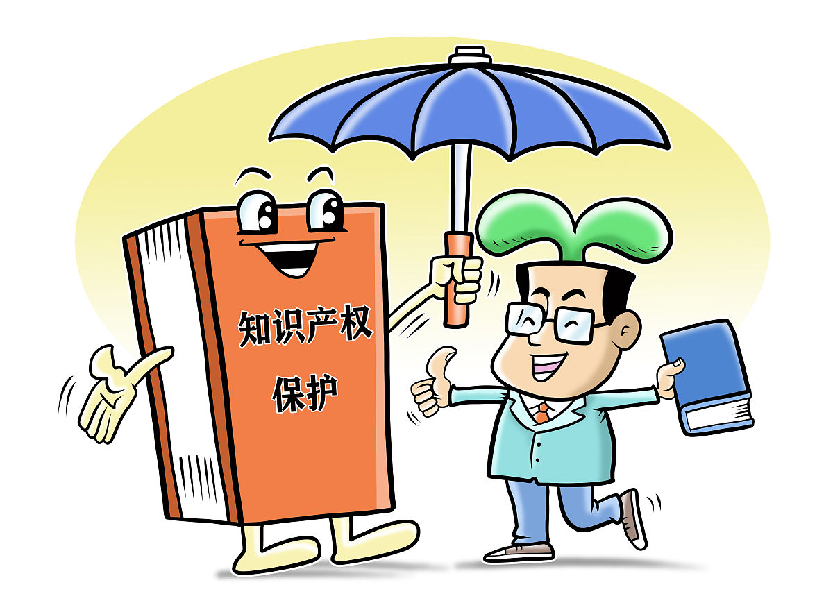 知识产权主体：权利义务与保护措施