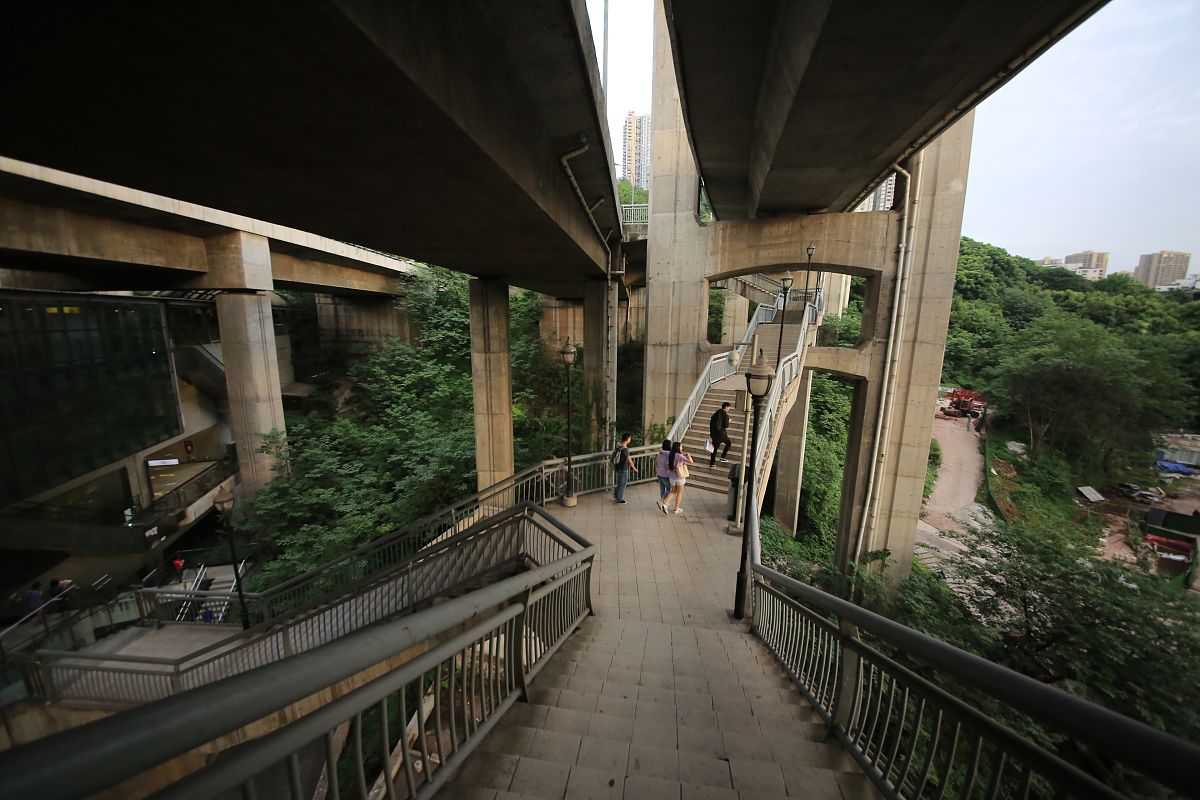 重庆轨道交通学校乘务专业招生要求 - 报考条件及培养方案