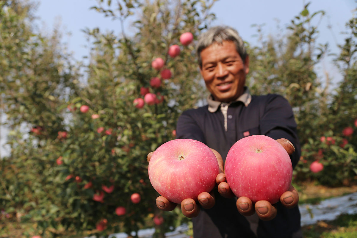烟台城乡建设学校春季招生计划 | 培养城乡建设人才