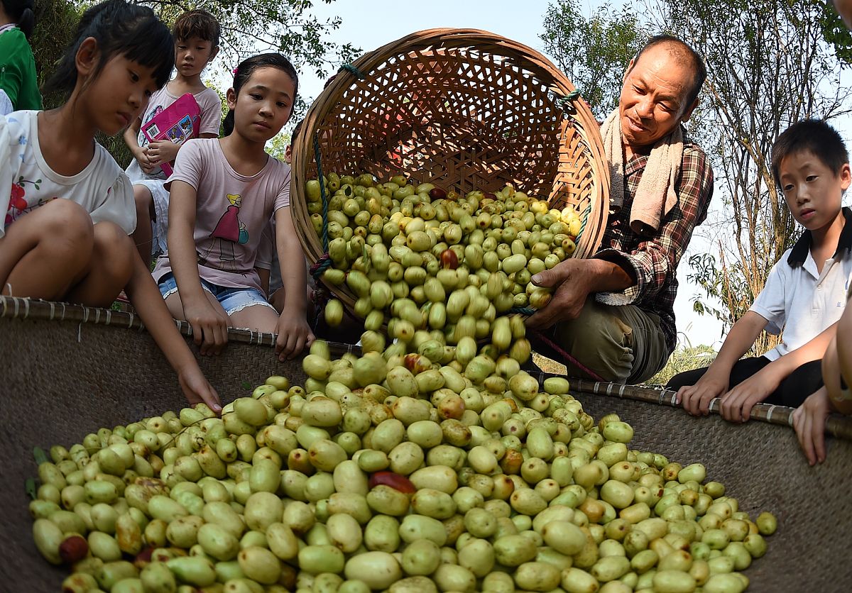 云南曲靖农业学校五年制招生条件：入学要求及优势