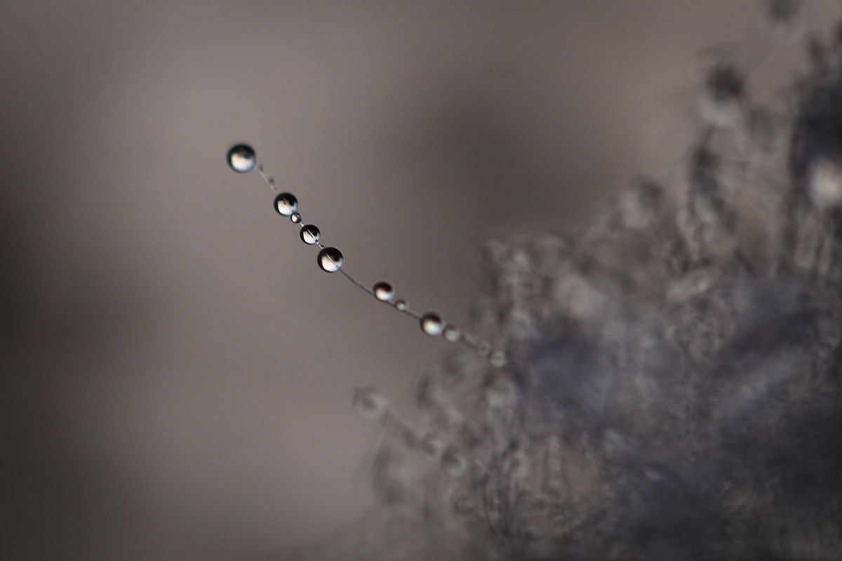 浙江广厦建设职业技术学院地址及乘车路线怎么样