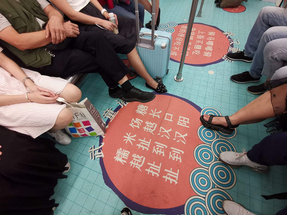 石家庄档案查询指南：线上线下查询方法详解