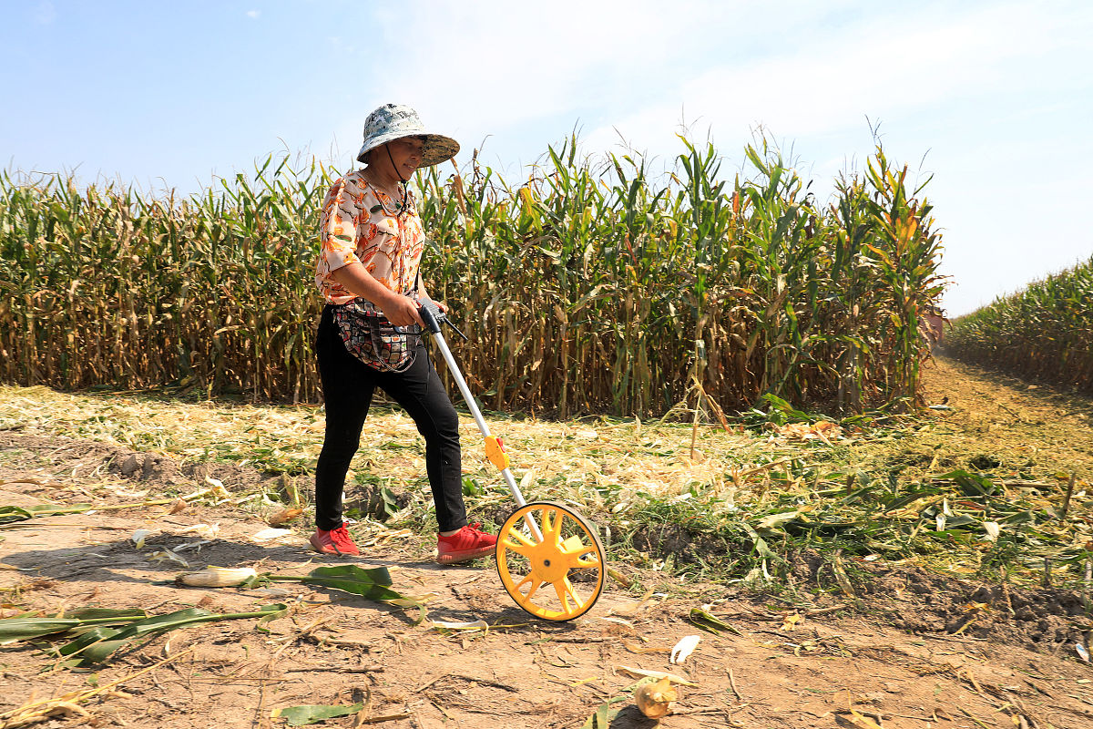 淮北市烈山区中等专业学校2021年录取分数线是多少？