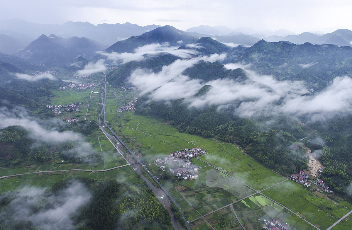 淳安育才学校2021年招生专业都有哪些