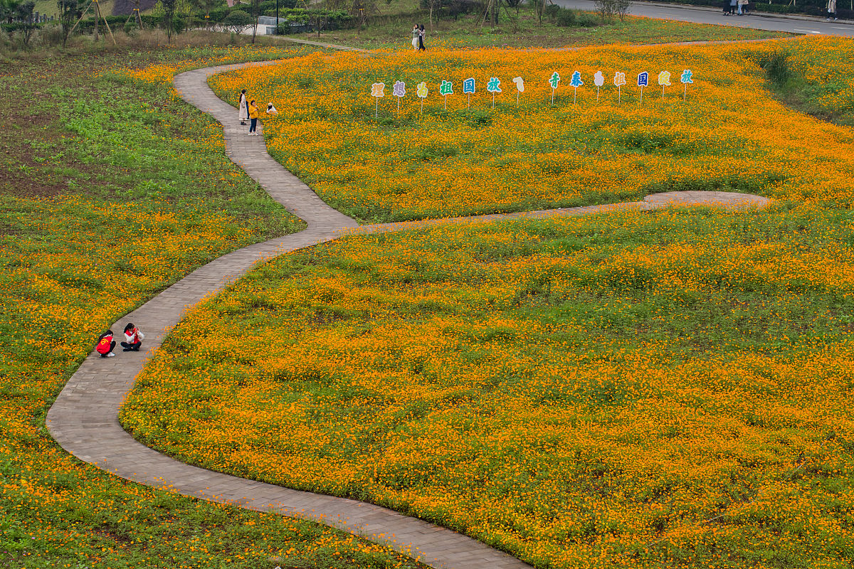 重庆理工大学食品卫生与营养学专业就业前景分析：广阔前景，机遇与挑战并存