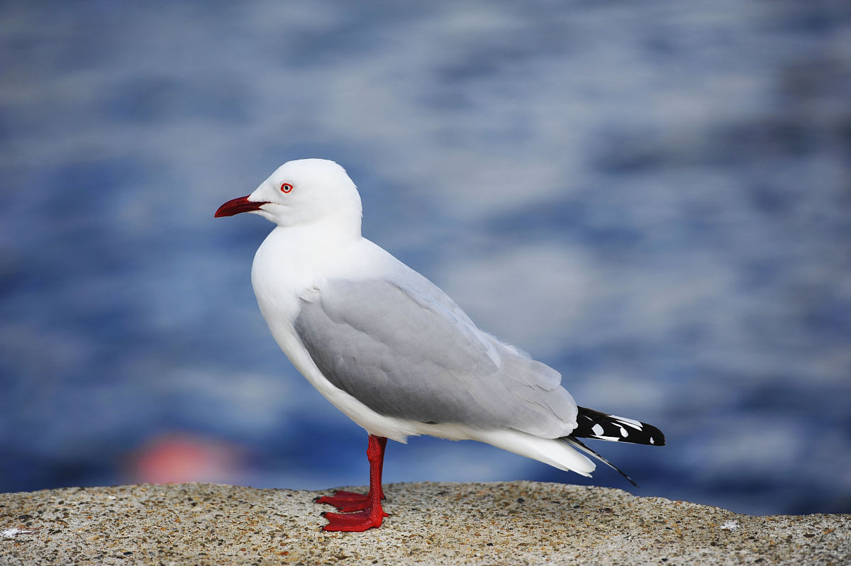 厦门2023新中考女生历史生物政治学什么专业好