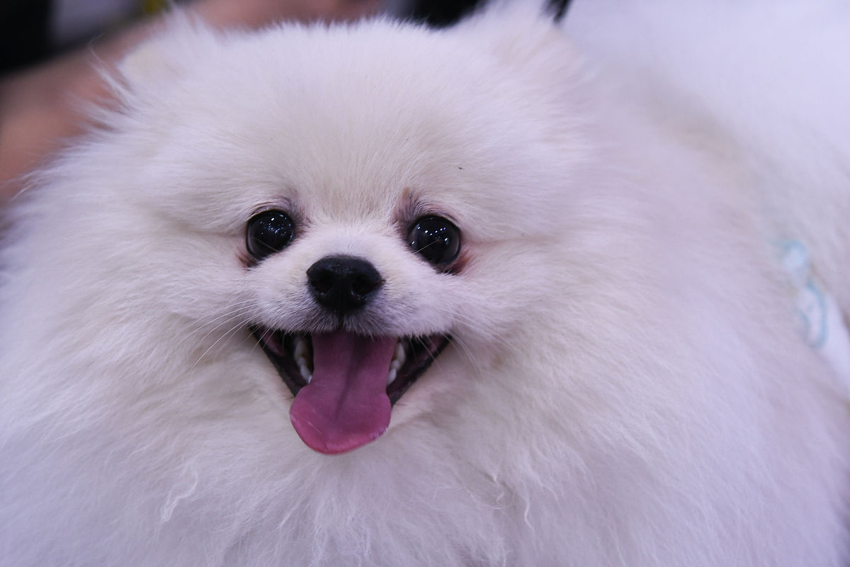 2020年成都护理学校招生简章 - 报名条件、考试科目、选拔标准