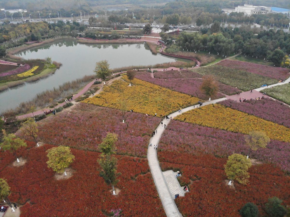 合肥春天旅游指南：赏花、户外运动，感受生机盎然的魅力