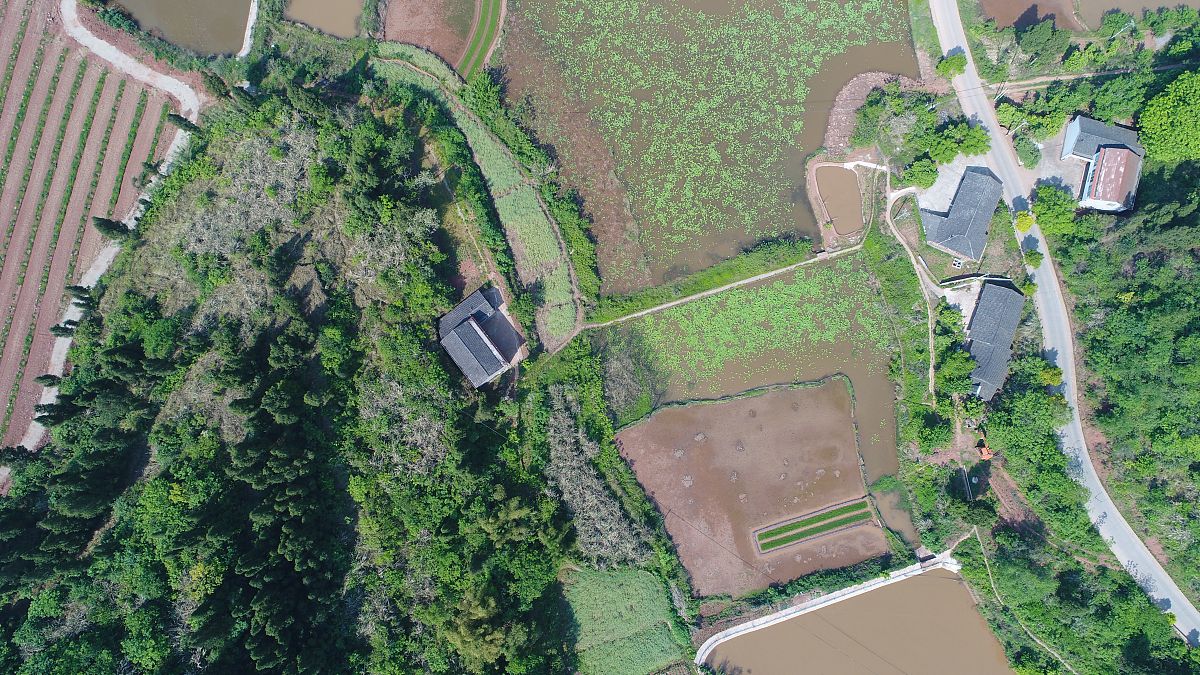 重庆农业机械化学校农村经济综合管理专业解读：课程设置与就业方向