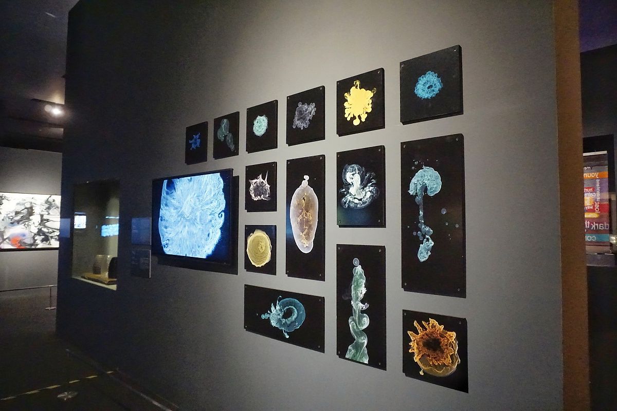 艺术组织职能全解析：从策展到公益