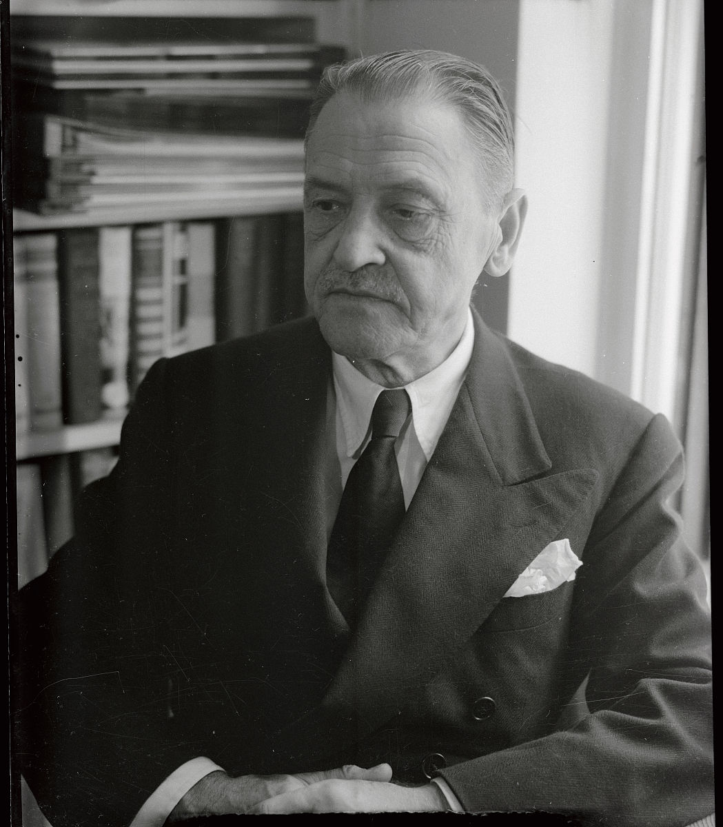 玫瑰和金鱼 讲了什么内容