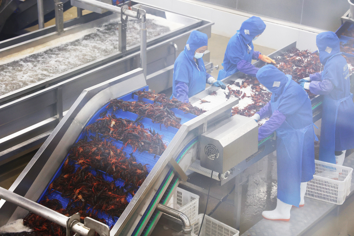 农产品保鲜与加工专业前景分析：机遇与挑战并存