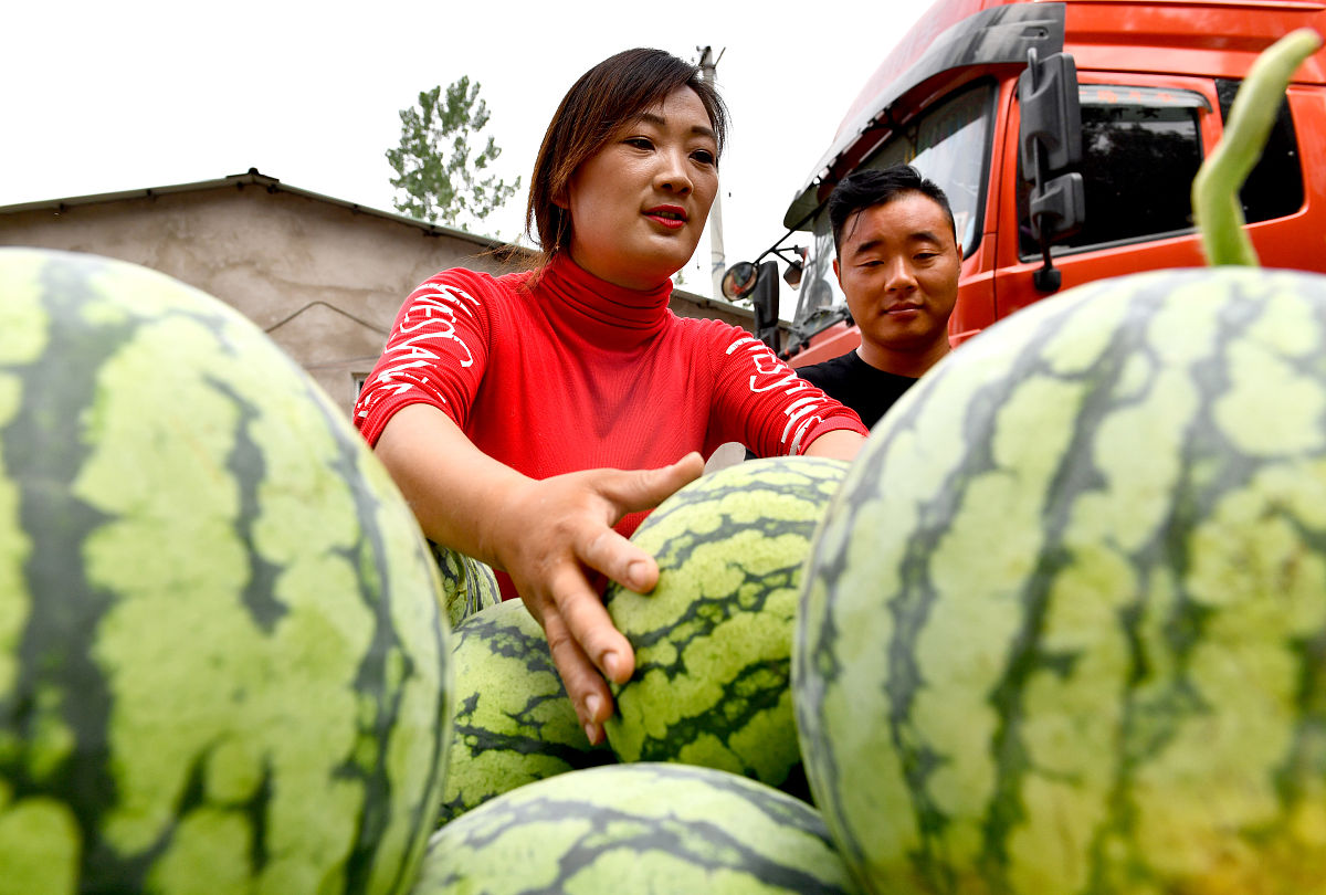 36岁海事检验师职业规划:提升技能,扩展知识,开拓未来 36岁海事检验师职业规划:提升技能,扩展知识,开拓未来